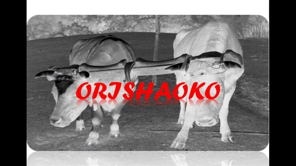 Orisha Oko Shango