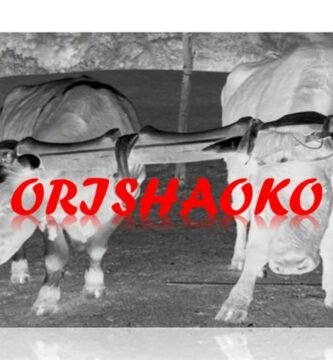 Orisha Oko Shango